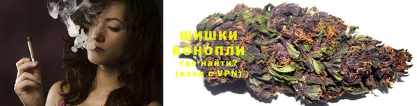 дмт Горняк