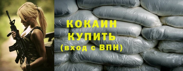 дмт Горняк
