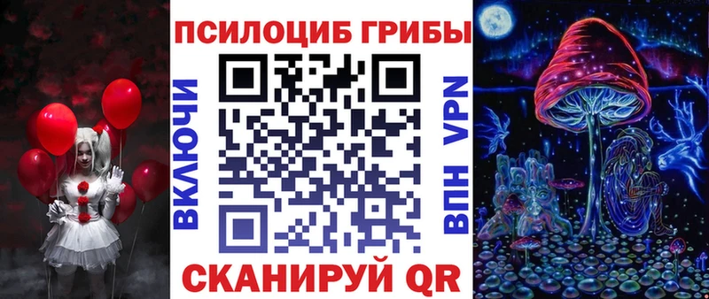 Купить закладки Кологрив Псилоцибиновые грибы Psilocybe